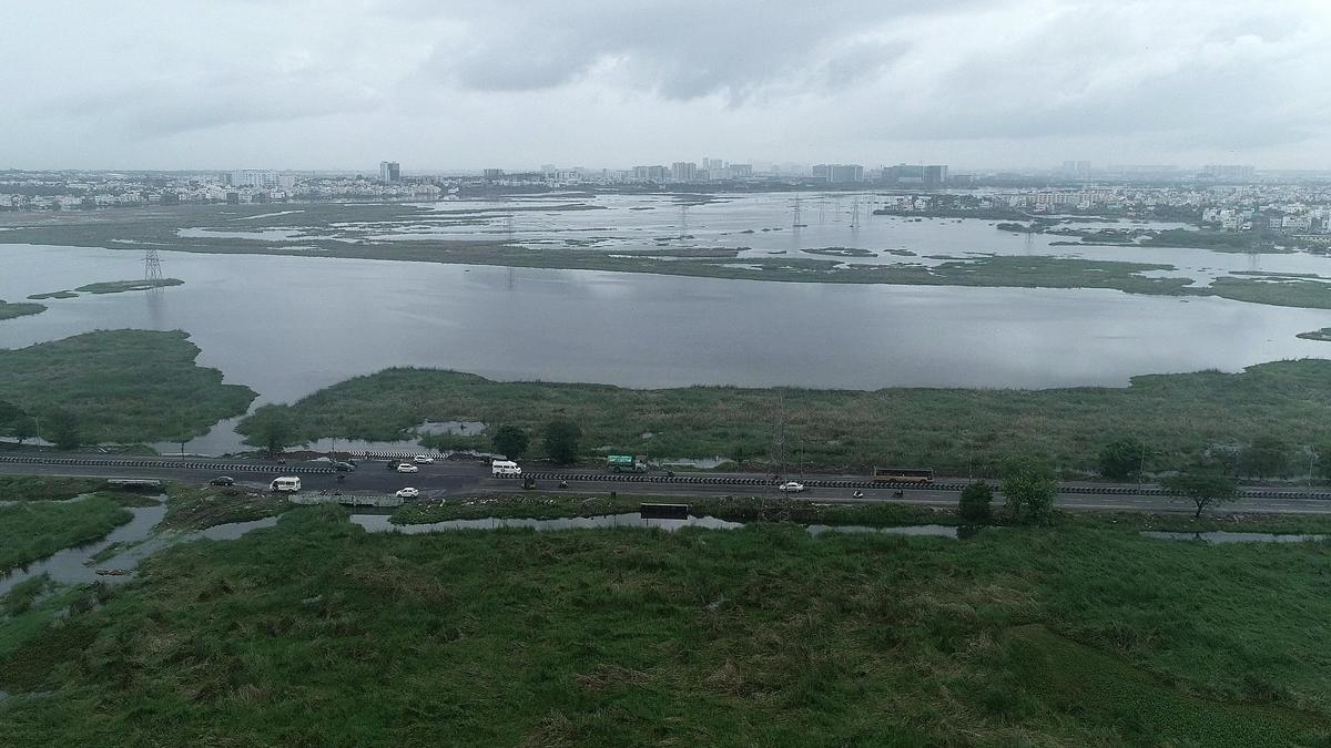 Madras High Court to examine NGT’s construction ban on 1 km radius around Pallikaranai marshland on August 3