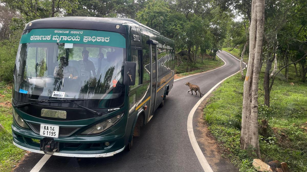 KSTDC mulls rolling out 40 electric buses for safari operations at Bannerghatta Biological Park