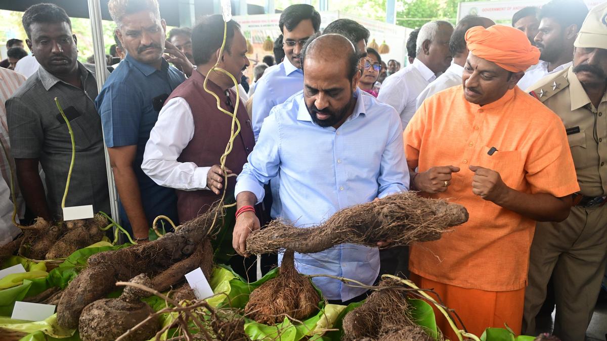 Four Ayush colleges will be set up in A.P., says Health Minister