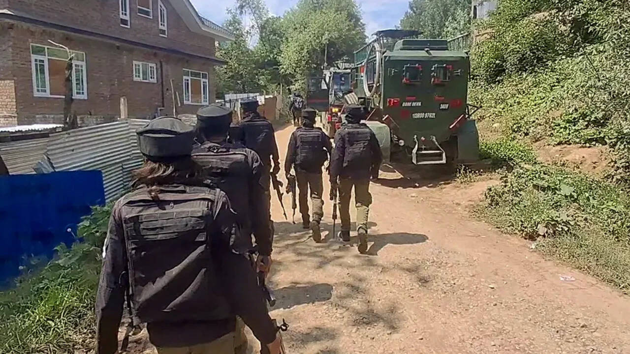 J&K: Pika gun ammo seized from hideout in Poonch; combing ops continues in Rajouri