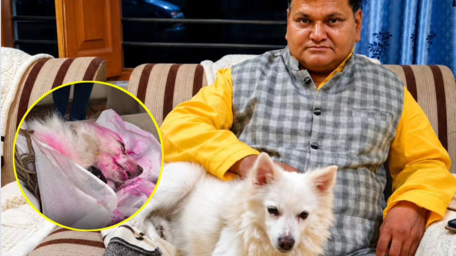 Pet dog dies after owner’s death in Madhya Pradesh