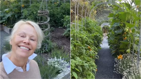 Pamela Anderson gives tour of her thriving vegetable garden at Vancouver Island home filled with roses and fresh produce