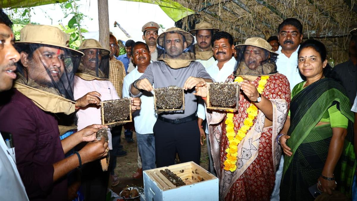 Mulugu honey should be promoted under ‘Maa Shakti’ brand: Seethakka