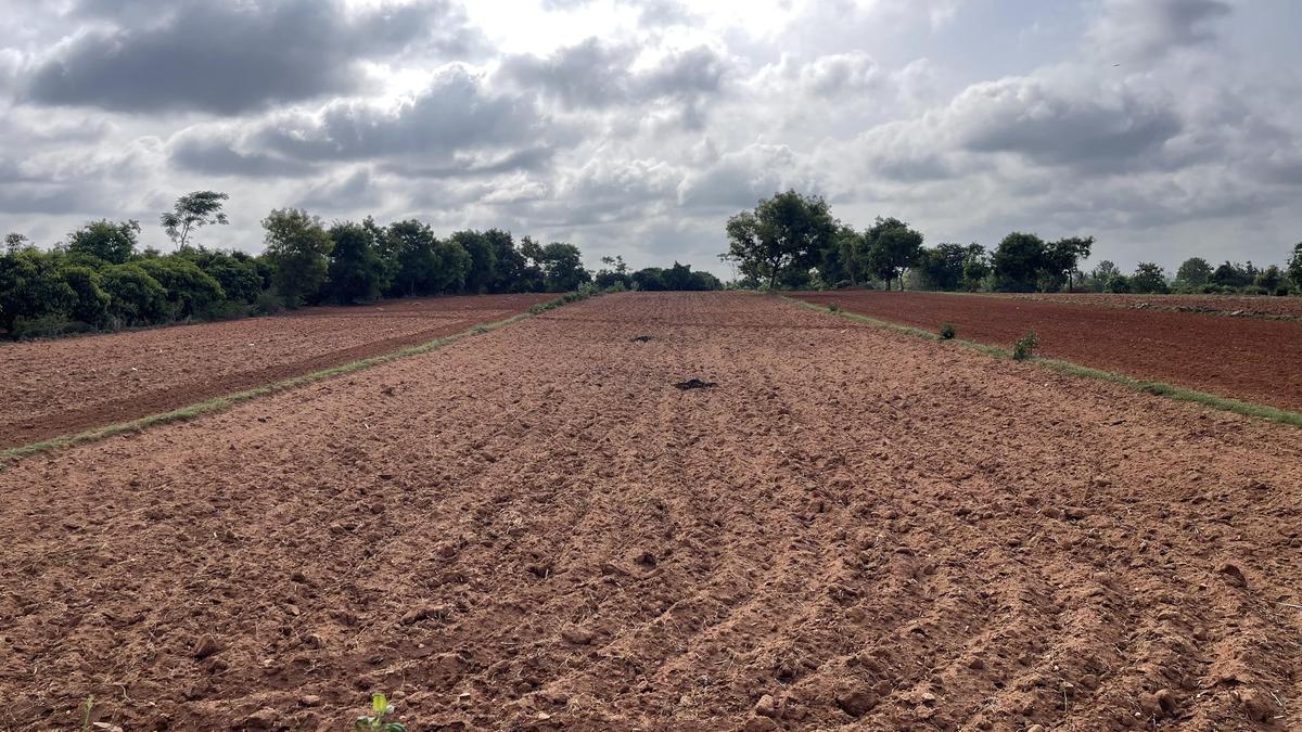 Karnataka asks Centre to declare drought situation as ‘calamity of national significance’
