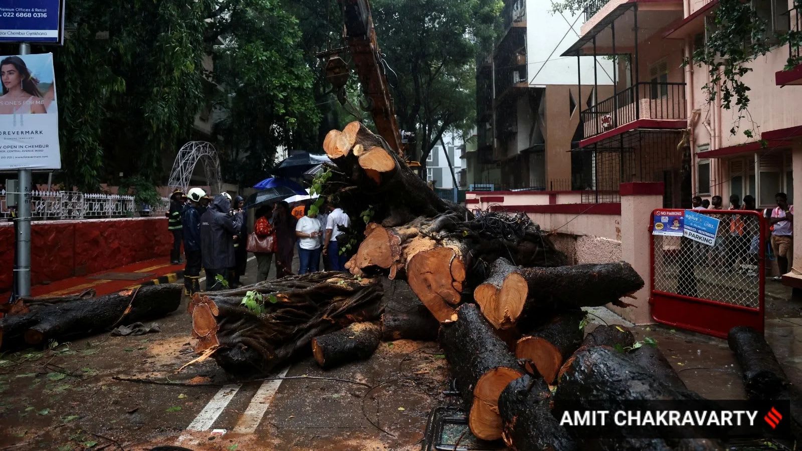 BMC orders fresh probe into Chembur tree collapse rejects panel’s clean chit