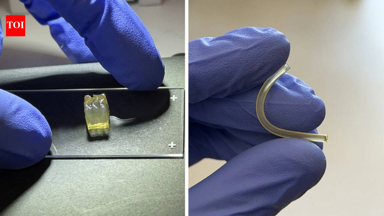 Scientists create liver and kidney tissues in space for the first time