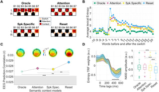 EEG shows brain can simultaneous encode two speech streams