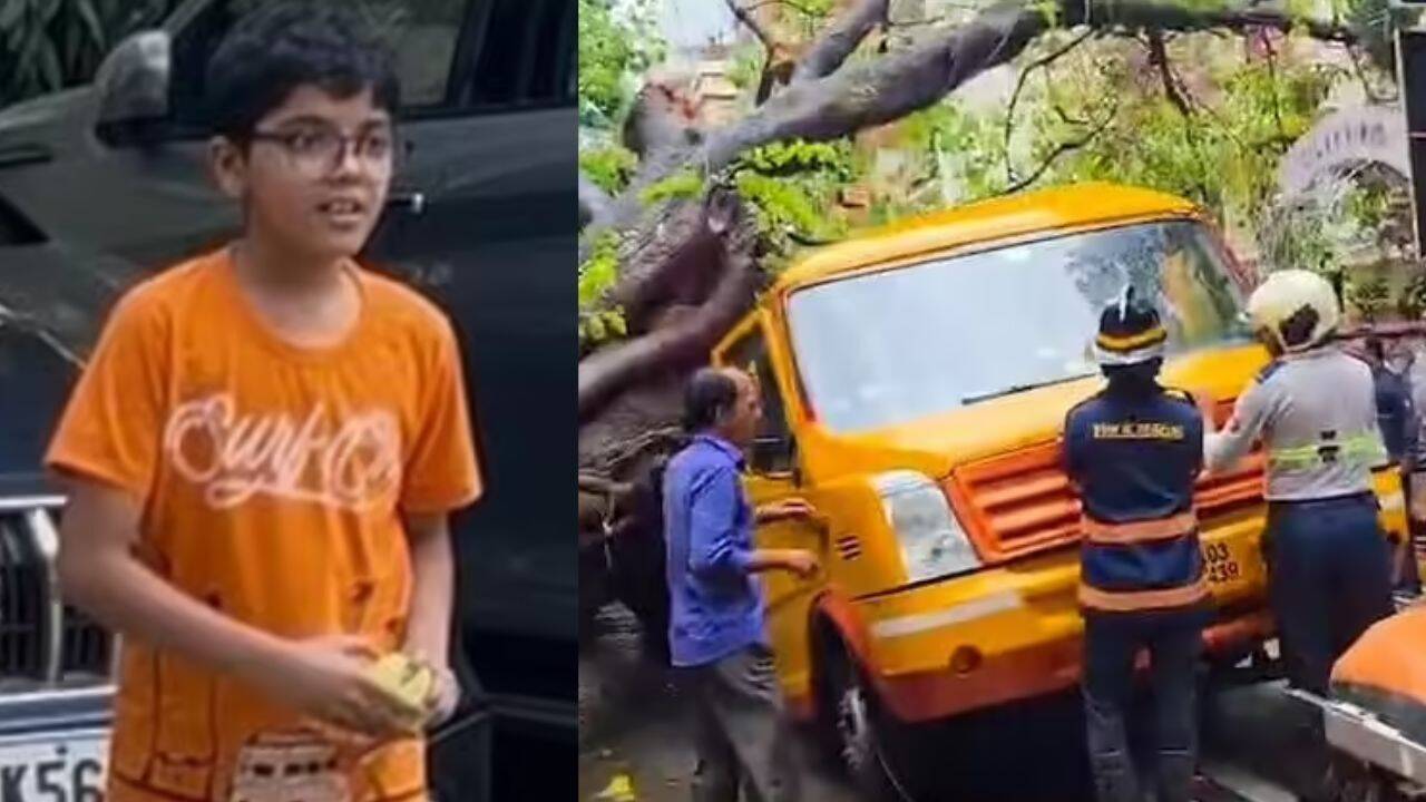 Mumbai mayor rejects BMC report on Chembur tree crash that killed 11-year-old
