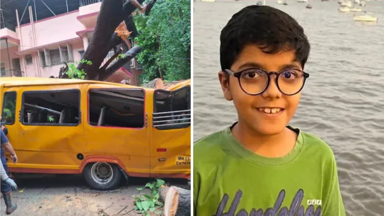 "Tore It Up": Mumbai Mayor Rejects Civic Body Report On Chembur Tree Collapse