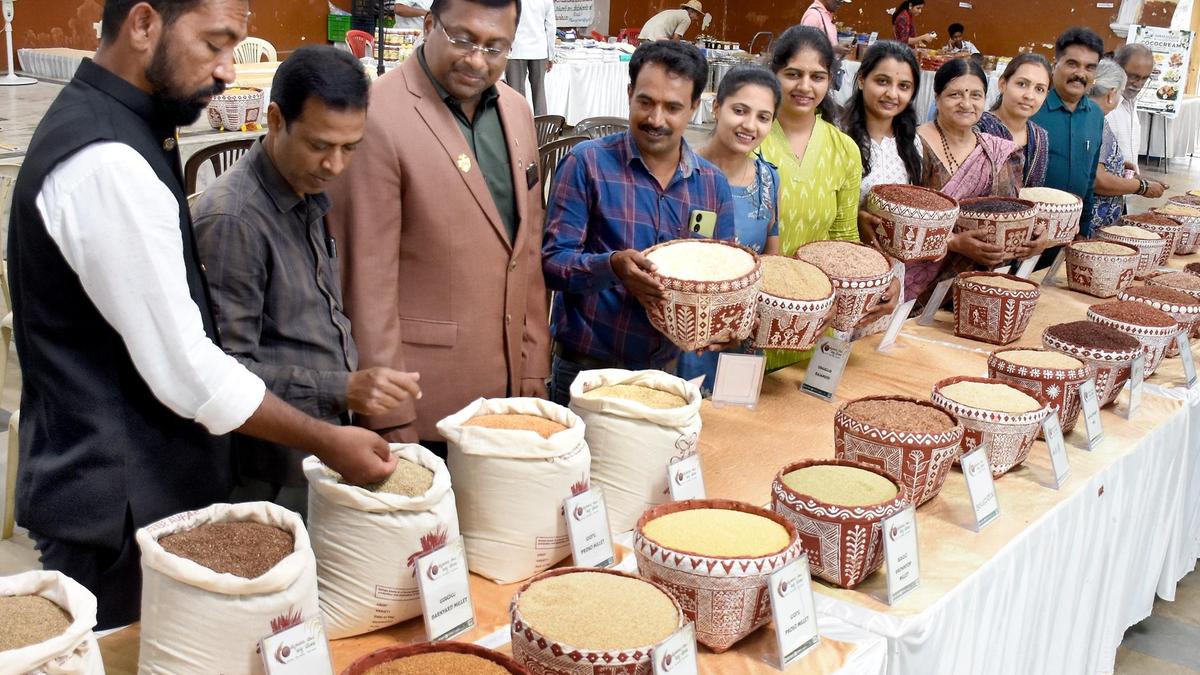 Desi Rice Mela begins in Mysuru, over 200 varieties on display