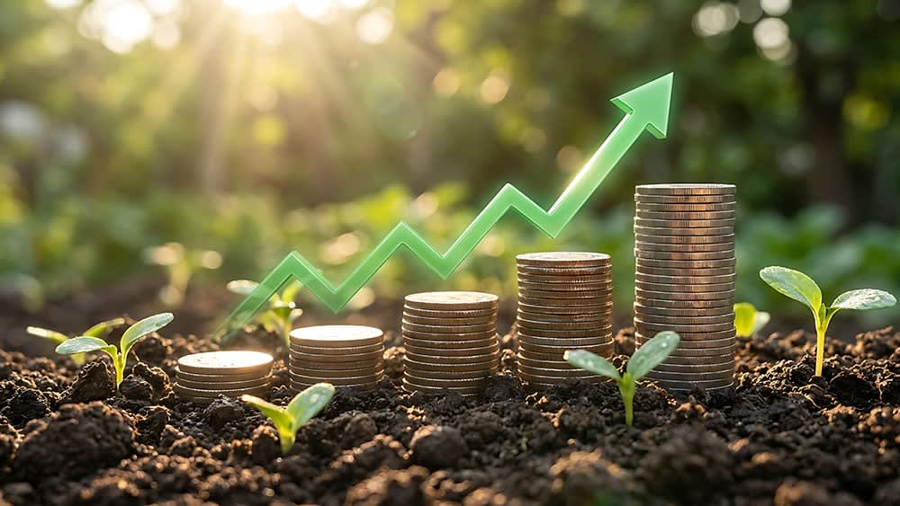 These 7 Stocks Are Analyst Favorites For Magnificent Earnings Growth; Google Holds Top Rating
