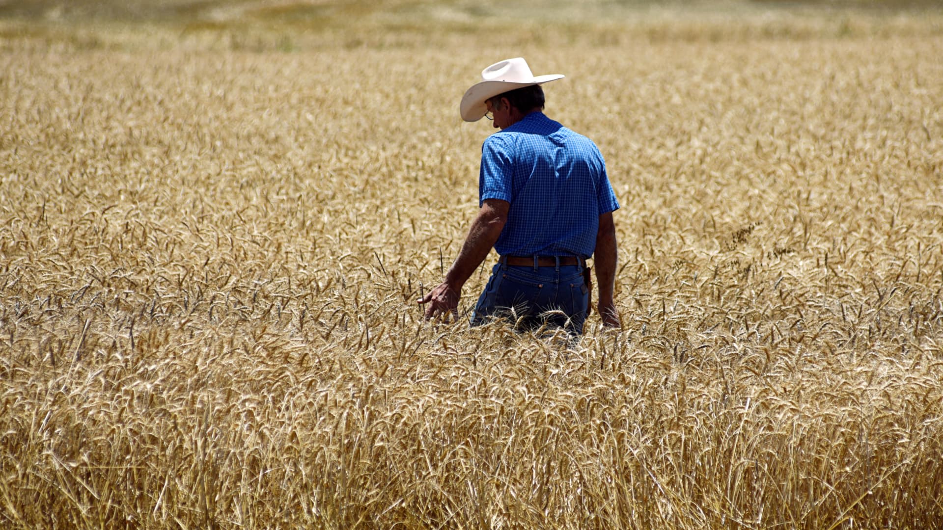 From 'Super El Niño' to Europe’s extreme heatwave: How this year's weather shocks are rattling commodity markets