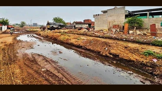 Ludhiana: Two dairy owners booked for discharging cow dung in drain
