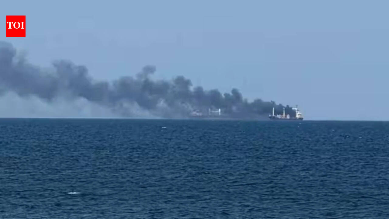 Four Indians killed in Russian strike on vessel off Ukrainian port