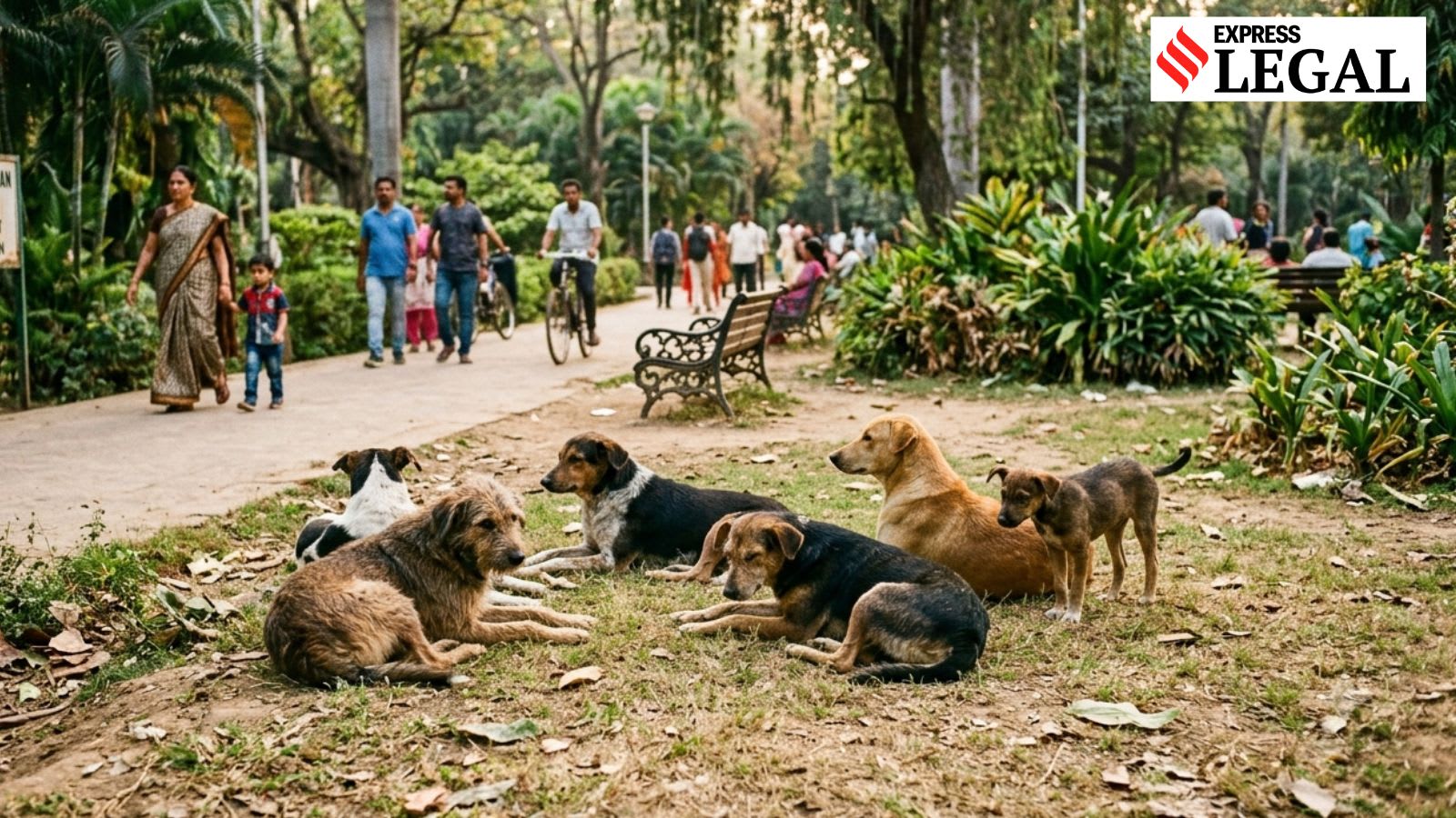 Stray dogs ‘attack’ 4-year-old girl in Noida, RWA ordered to pay Rs 1 lakh for injuries