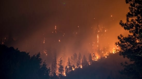 Patterson, California fire update: Zacharias Fire on Rogers Road causes worries; first details