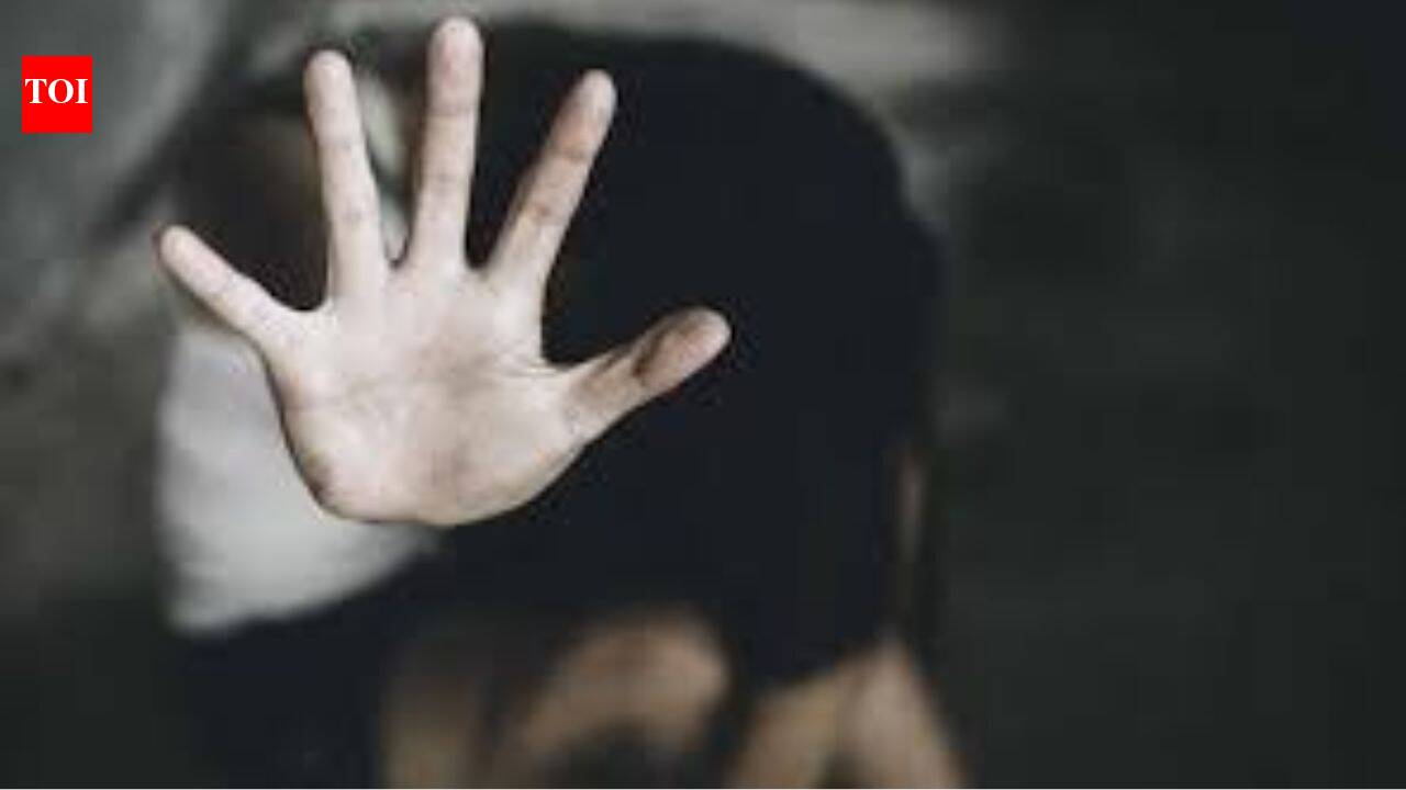 'Picked up in car, sexually assaulted, filmed': Woman 'gang-raped' at Karnataka hotel