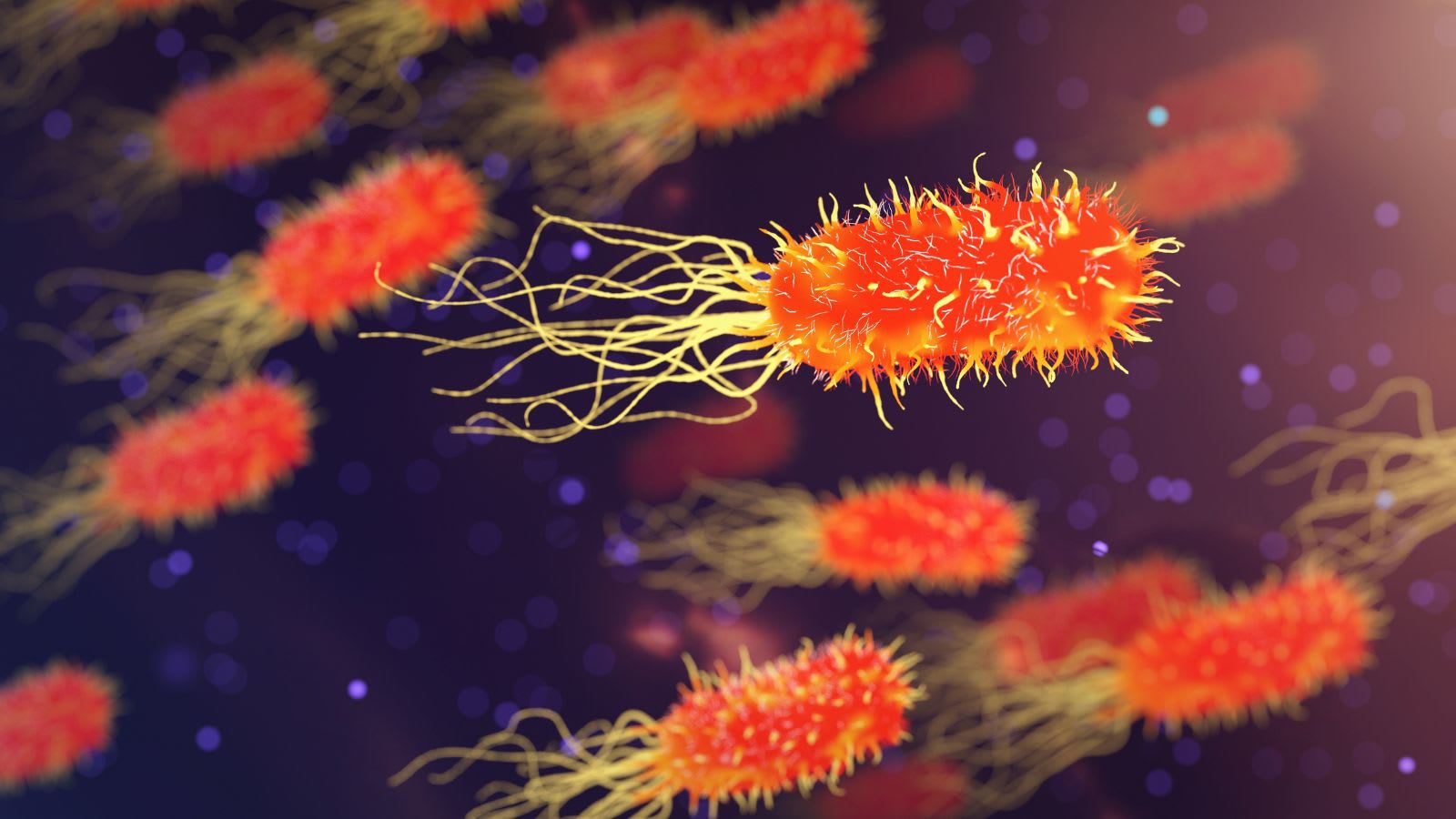 Legionnaires’ disease outbreak: What to know after fourth death in New York City