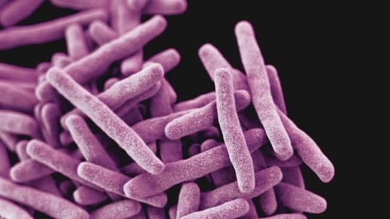 What caused Heavenly Spices Garlic Powder recall? Bacillus cereus contamination explained