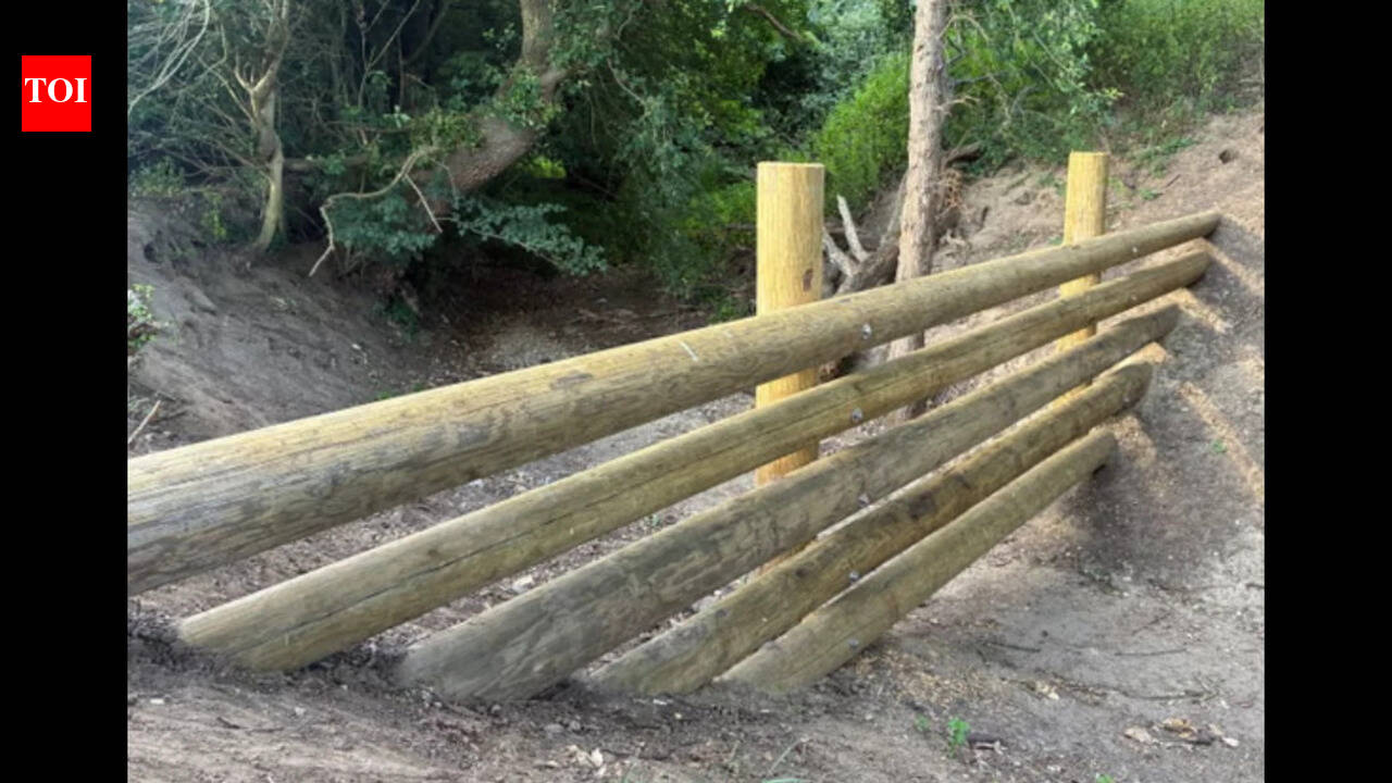 UK village hopes £35,000 beaver-style dams will stop next deluge