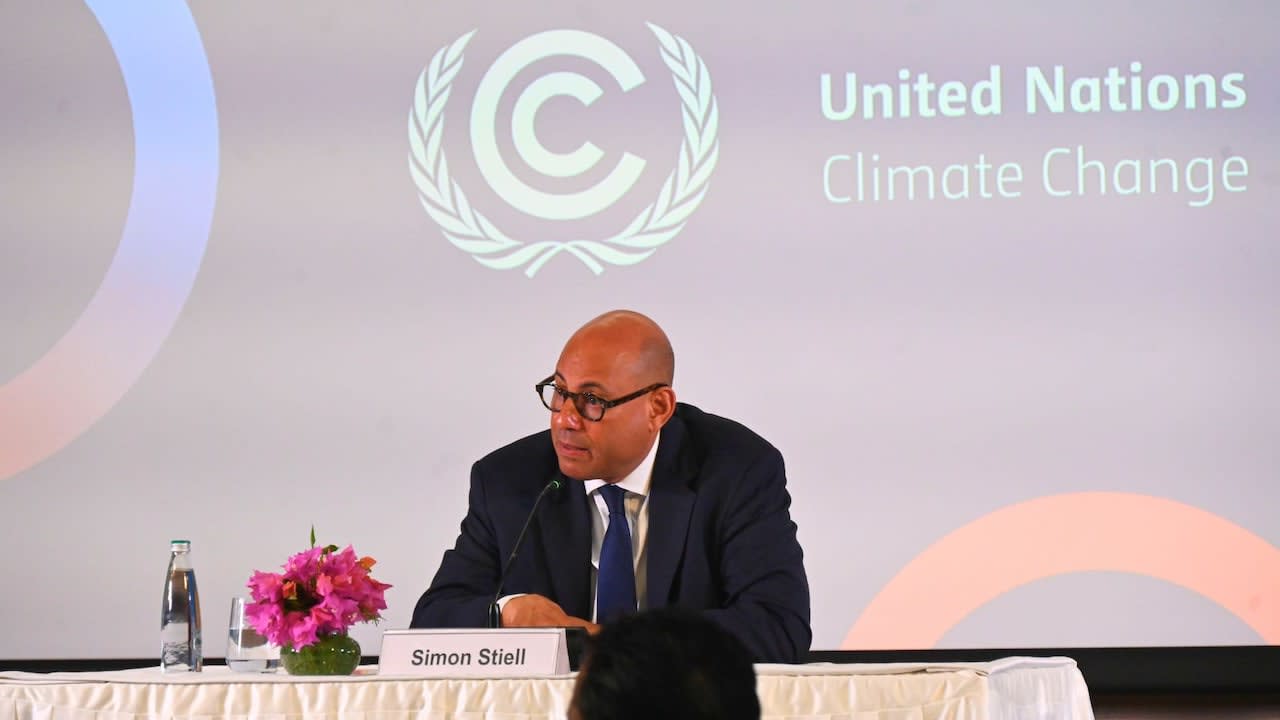 "India Is Now A Solar Superpower Backed By Skilled Workforce": UN Climate Chief
