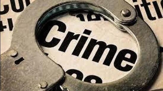 Second woman accused in TCS-linked BPO case gets bail