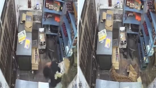 Chilling CCTV footage: Leopard enters liquor store in Rajasthan, attacks two men