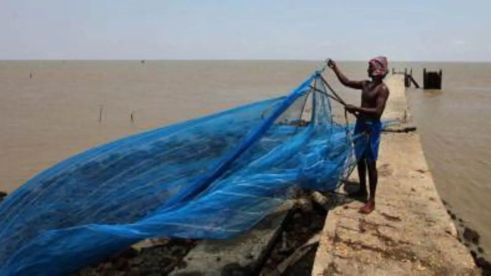 Sri Lankan Navy arrests 9 Indian fishermen near Talaimannar