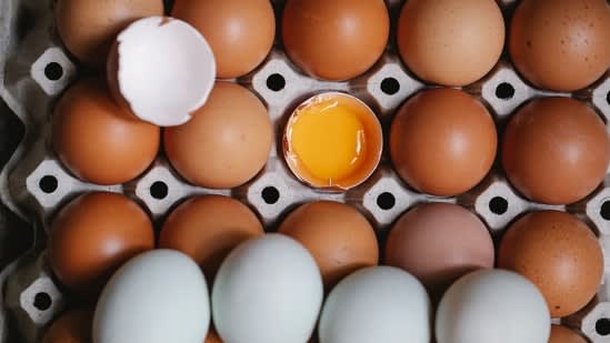 FDA recalls 1.6 million Midwest poultry services eggs over Salmonella risk: Check affected brands and states