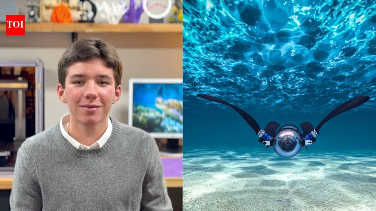 16-yr-old Canadian student built AI robot turtle that hunts plastic invisible to eye