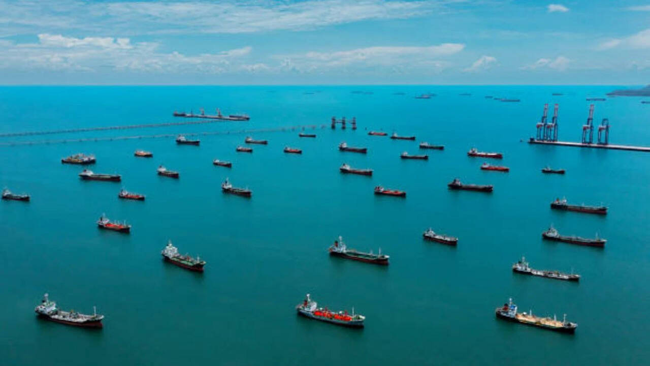 Ships trapped near Strait of Hormuz could become nurseries for invasive species