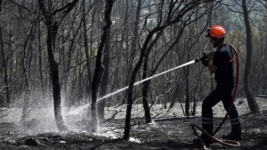 Around 40,000 people evacuated from southwest France due to wildfire