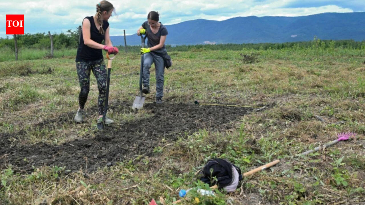 Giant grass planted near Bucha may help clean Ukraine’s war-damaged land
