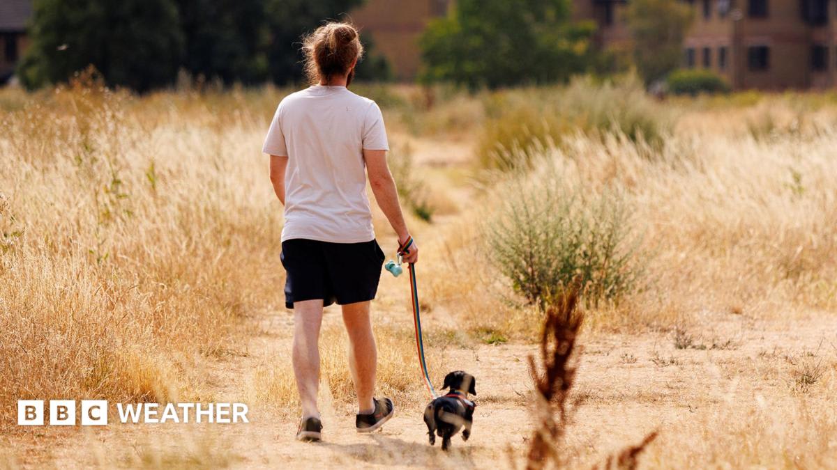 Heat health alerts in effect for parts of UK as rain returns for some this weekend