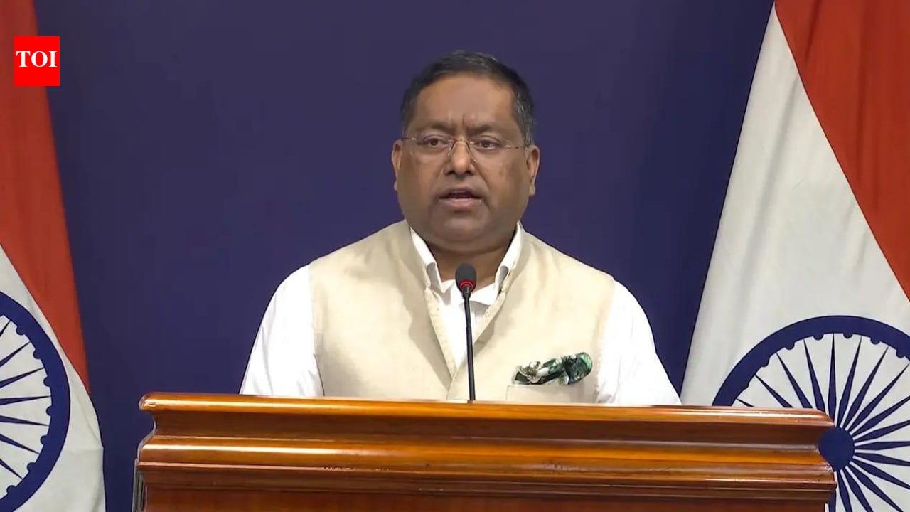 There are Chinese projects on territories in J&K that belong to India: MEA
