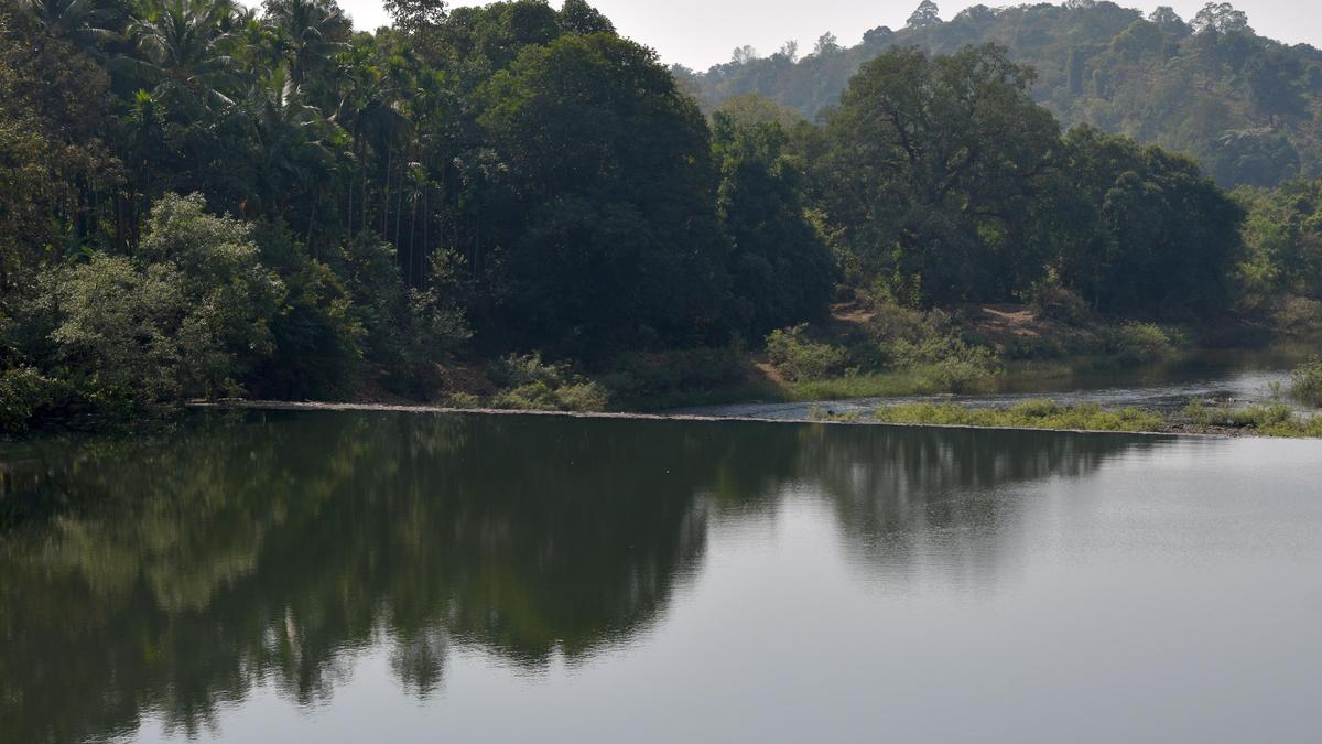 Union government returns Karnataka's request for wildlife clearance for Mahadayi basin projects, calling it sub-judice