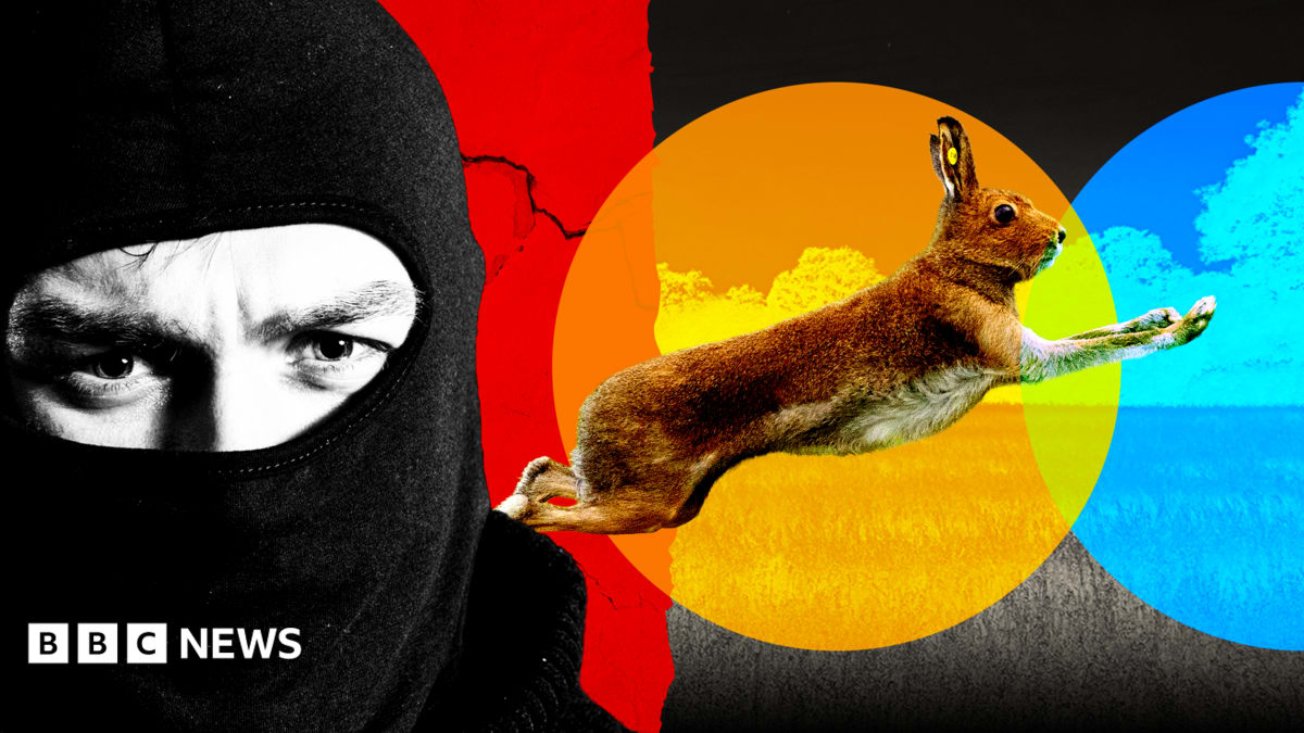 How the mystery of dead animals dumped in villages led to a hidden world of illegal hunts