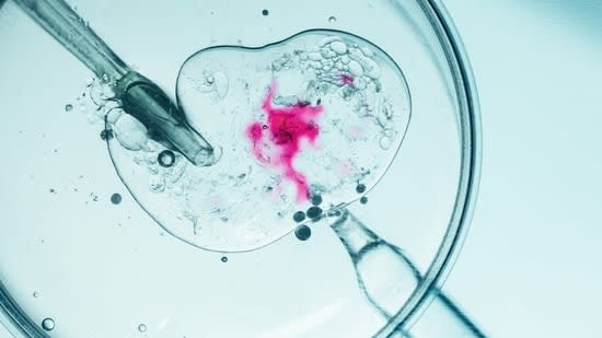 Patient safety must be foundation of the fertility ecosystem