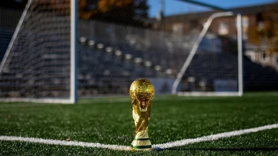 The economics of the World Cup