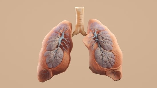 Why are more non-smokers getting lung cancer? Pulmonologist Dr Harshil Alwani breaks down the hidden risk factors