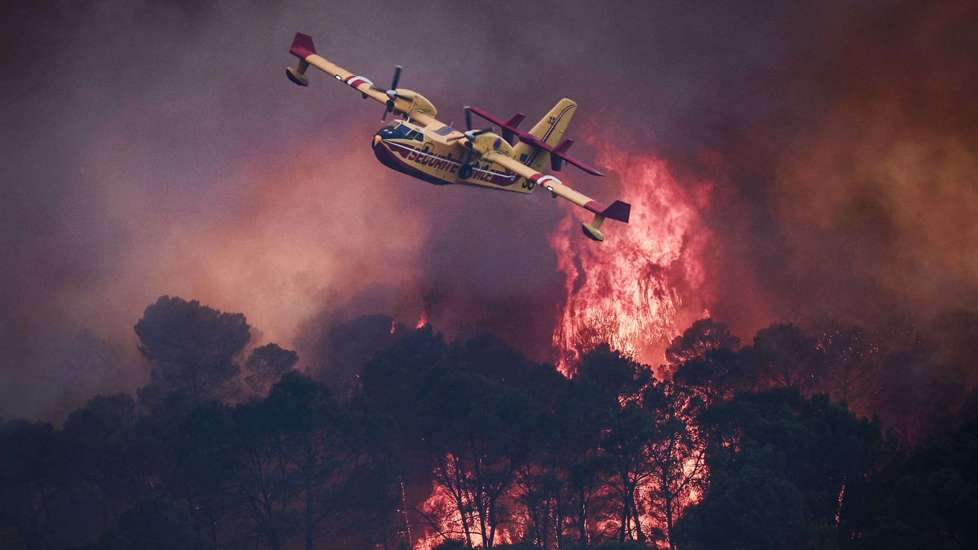 Europe wildfire in pictures: Gigantic fire cloud engulfing France, Spain regions