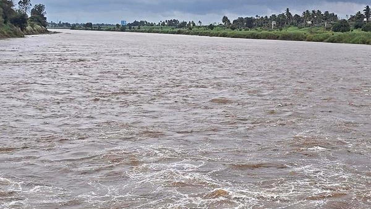 Reduced rainfall in Maharashtra, Belagavi leads to lower discharge in the Krishna