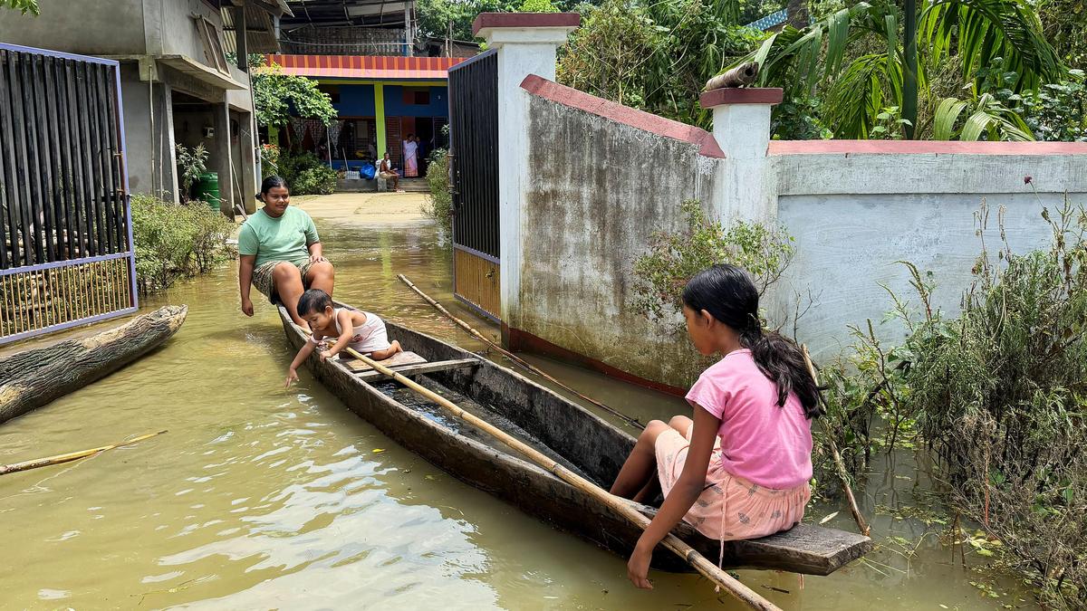 As Assam floodwaters recede, focus on relief for animals