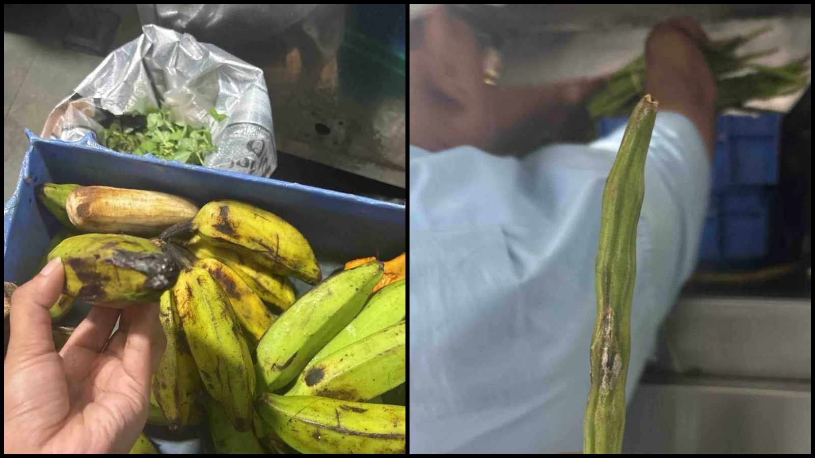 FDA suspends license of Mumbai’s six-decade-old Udupi eatery Poornima Restaurant