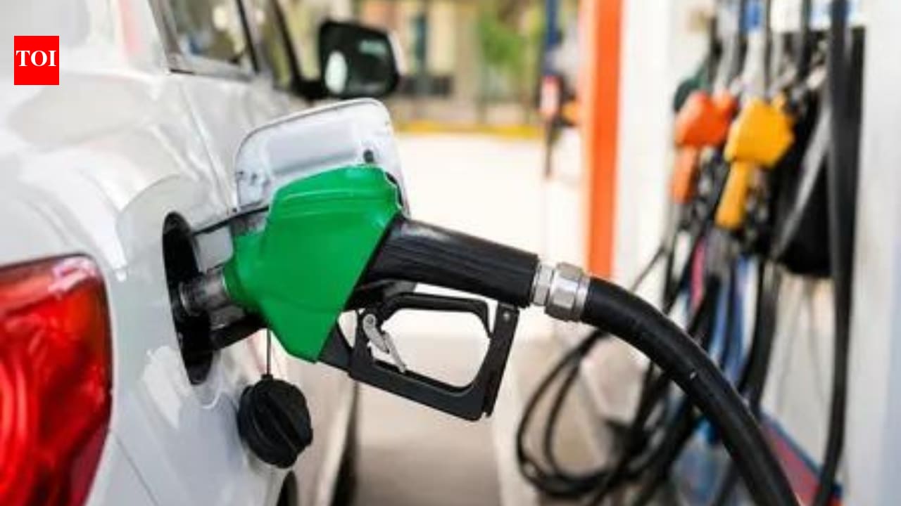 Can using E20 petrol lead to insurance claim rejection? What govt said