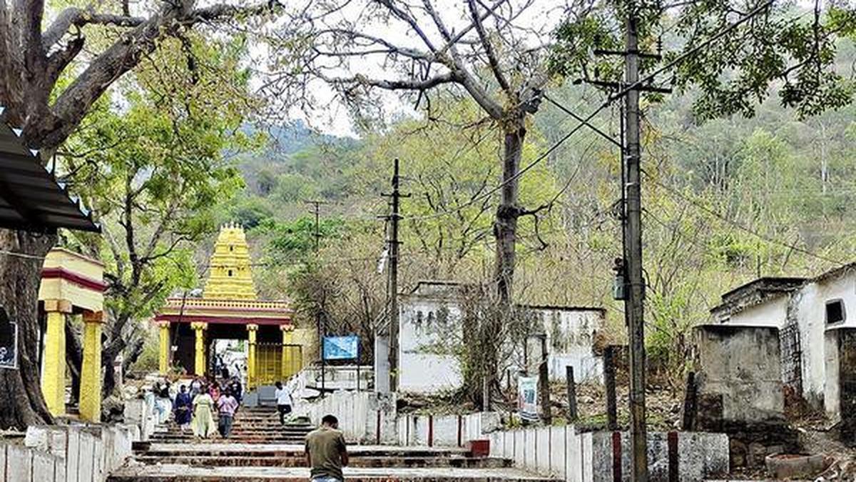 Ashada Fridays: No recommendation letters allowed for vehicle entry to Chamundi hill