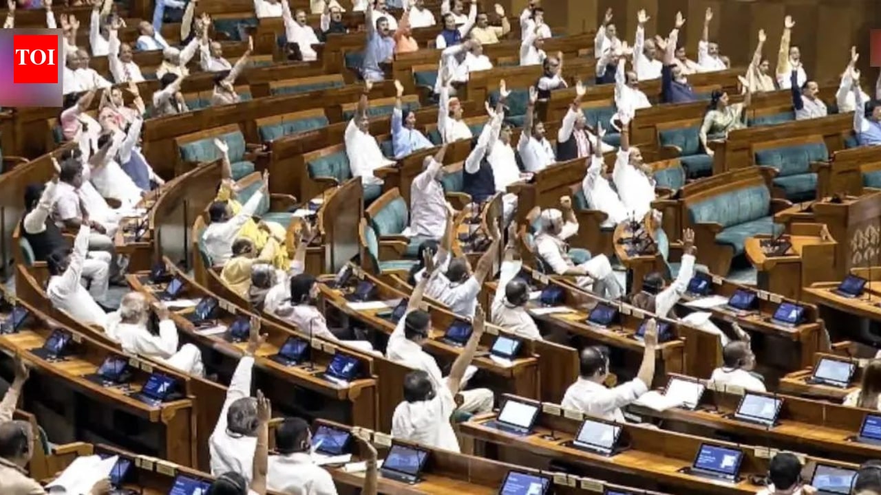 'Clock it', 'delulu': How Gen Z lingo took over Parl during anti-paper leak Bill debate