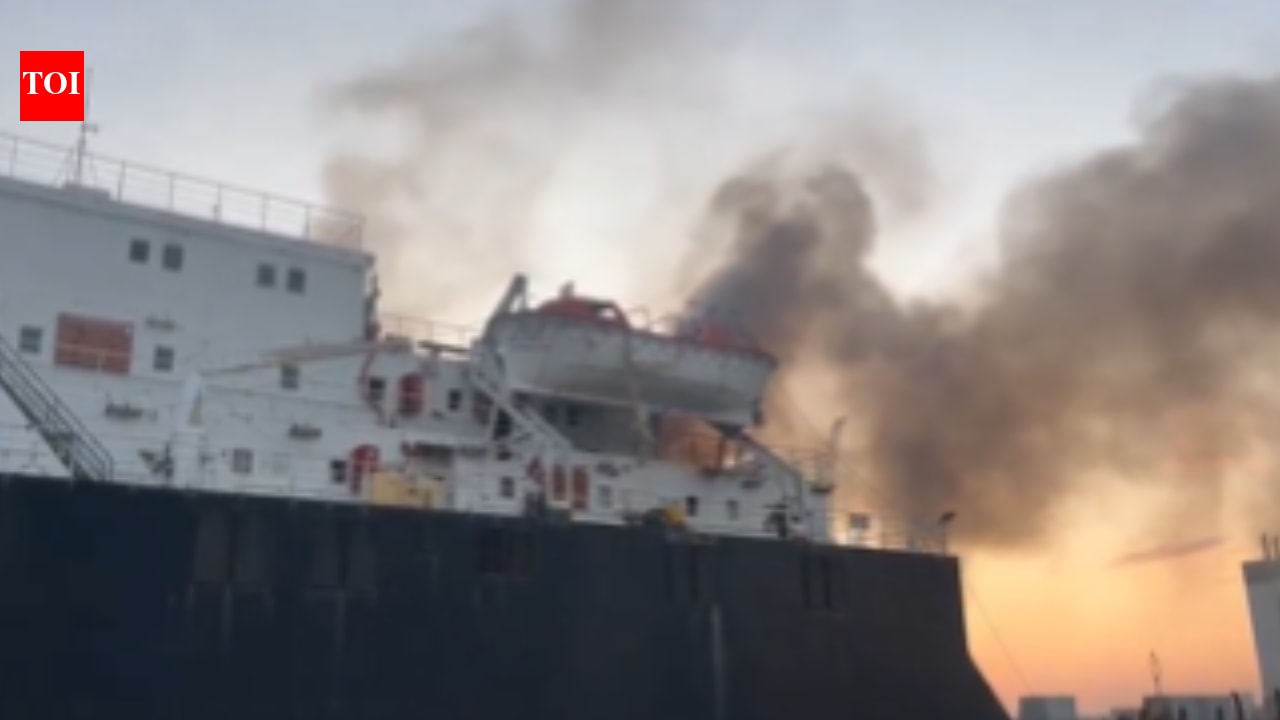 13 Indians stranded aboard vessel in Ukraine amid 'repeated drone, missile attacks'