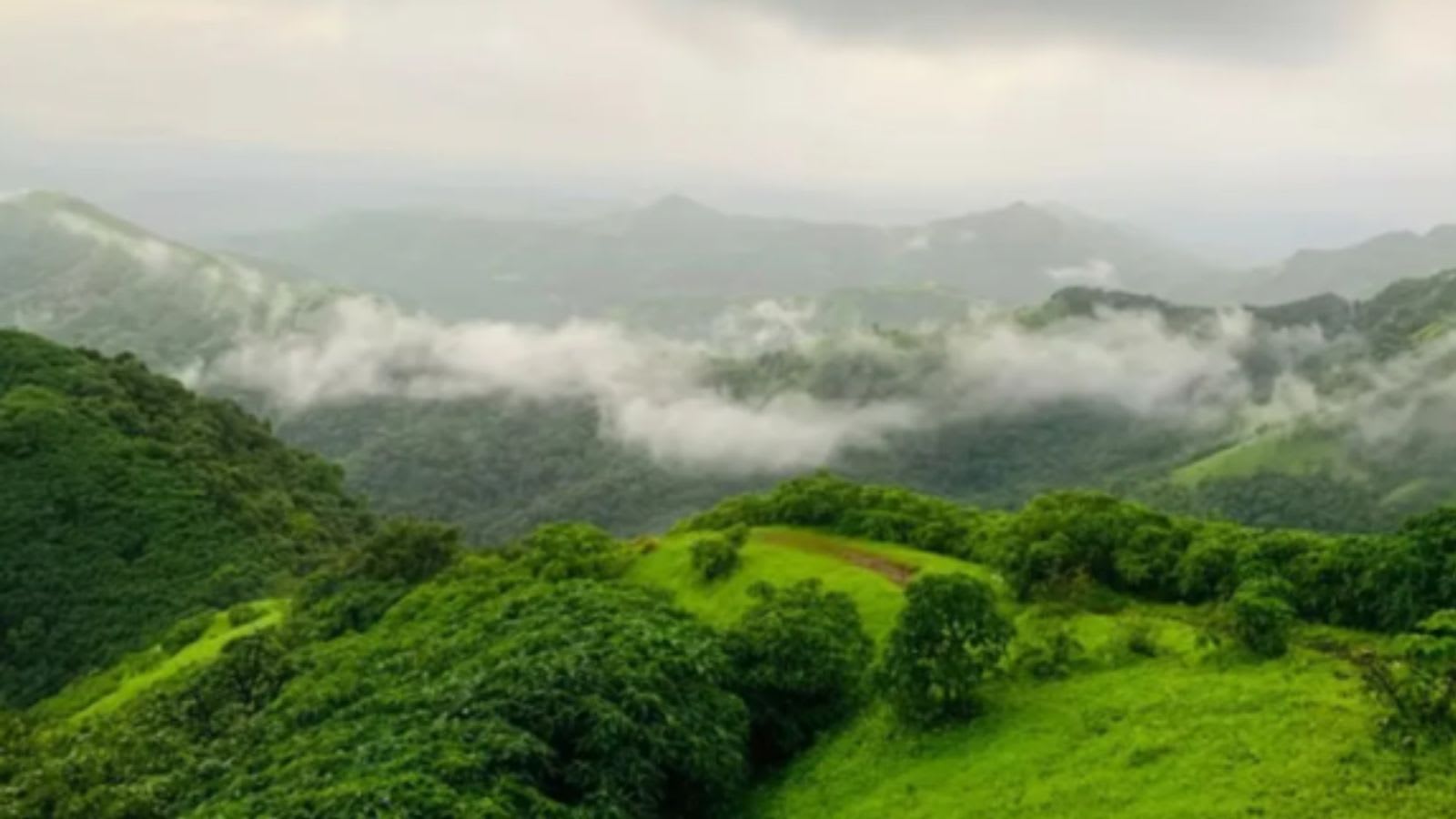 Government re-issues draft notification declaring over 56 K sq km of Western Ghats as eco-sensitive area