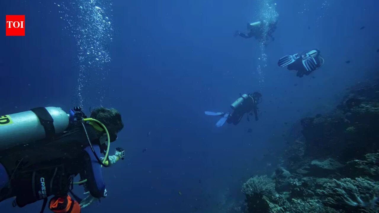 Scuba divers thought they rarely touched reefs. Observers found damage